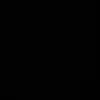 iis_969