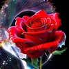 user29497305704036