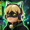 chatnoir_agreste3