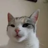 😎