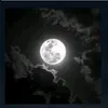 dldarmziri17