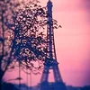 andrey_schorav