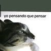 carboncito257