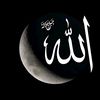 habib.burroh.man
