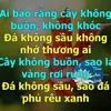 23985huyenminh