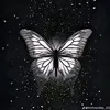 diepdiep9933