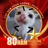 user945452966