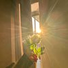 muzammil_muiz