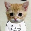 miguel_xfp12