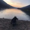landon_hamilton29