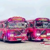 hiru_bus_kingdom