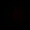 alizadee_19