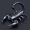 the_black_scorpion00