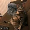 casper_96357