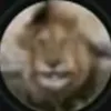 artishteyn