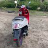 wongsepeleto00