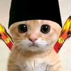 nggak.tua