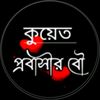 user1204181250161