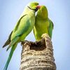 md.sharif.mia43