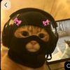 zinoz_ysha