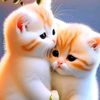 starlove5781