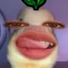 edwinageron