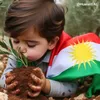 husseinamin663