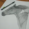 equine_art_by_nono