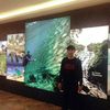 raswan.wawan