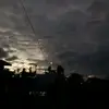 raflivinsenluas