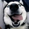 useerboyy.0nd