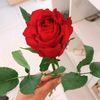 user8404480292248