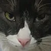 heidi.olmedo6