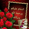 user986730696