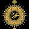 user194744440656
