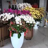 m.duyn584