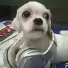 garcodmofficial
