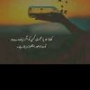 shawaiz.mehar