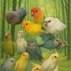 kaka.for.parrots