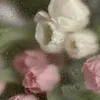 kiannr_8