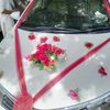 bashart786df