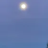 tim__0ff