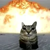 memasovik