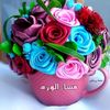 all.elsddlg