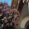 roip_77
