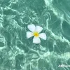 .vloogsbyvivi_