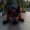 tatan_colombia19