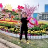 quangthimy203