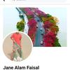 mohammedjanealamf