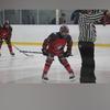 soysauce_hockey2